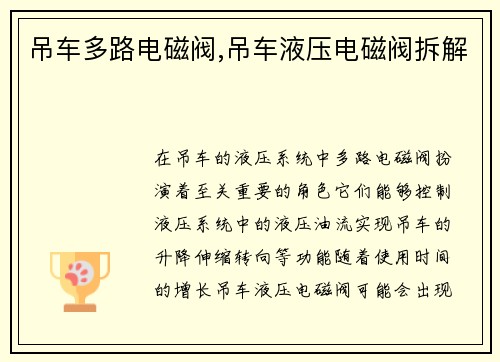 吊车多路电磁阀,吊车液压电磁阀拆解 吊车多路电磁阀,吊车液压电磁阀拆解