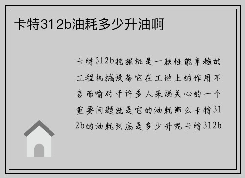 卡特312b油耗多少升油啊 卡特312b油耗多少升油啊